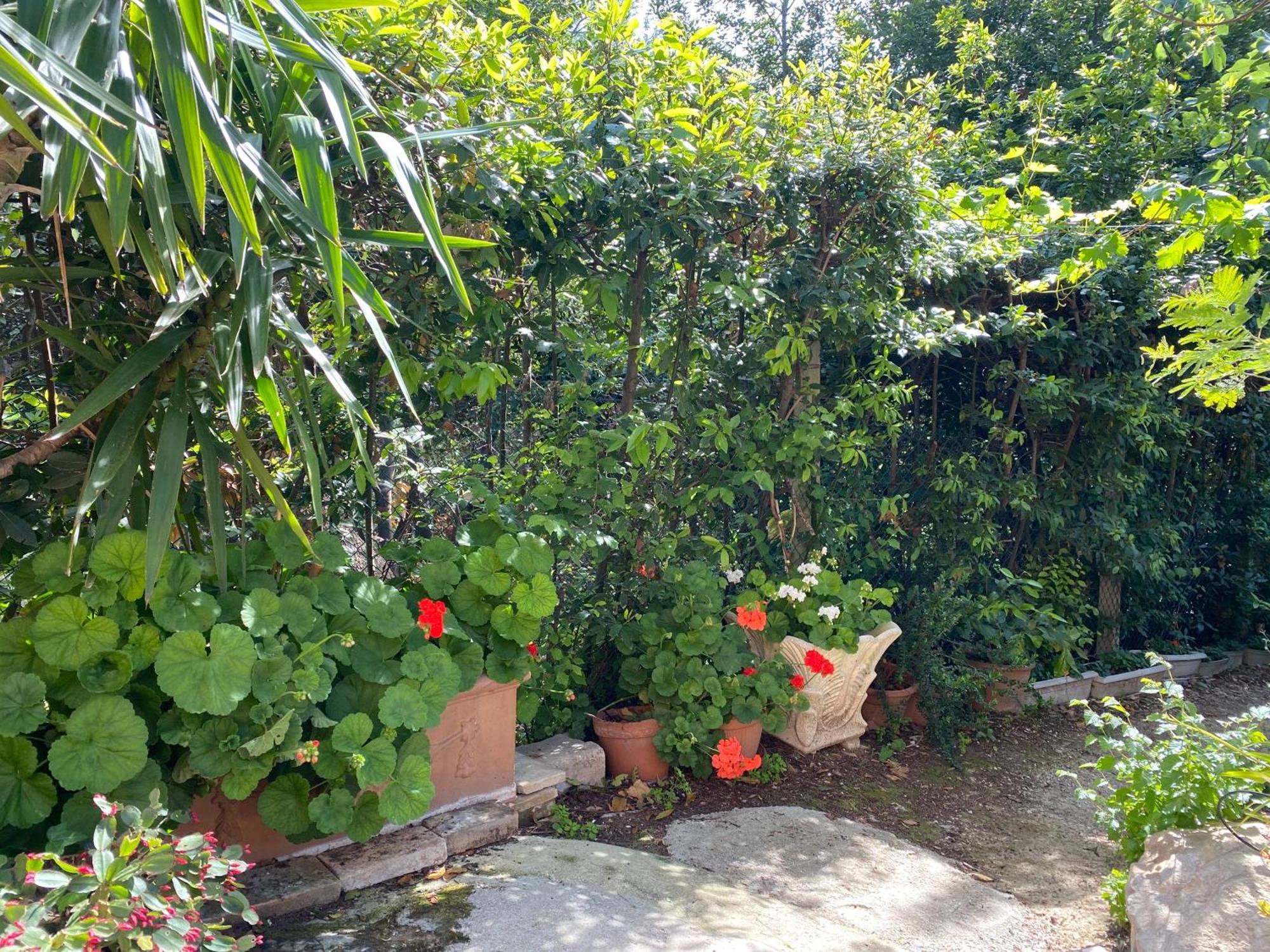 Il Podere Degli Ulivi Santa Veneranda Esterno foto