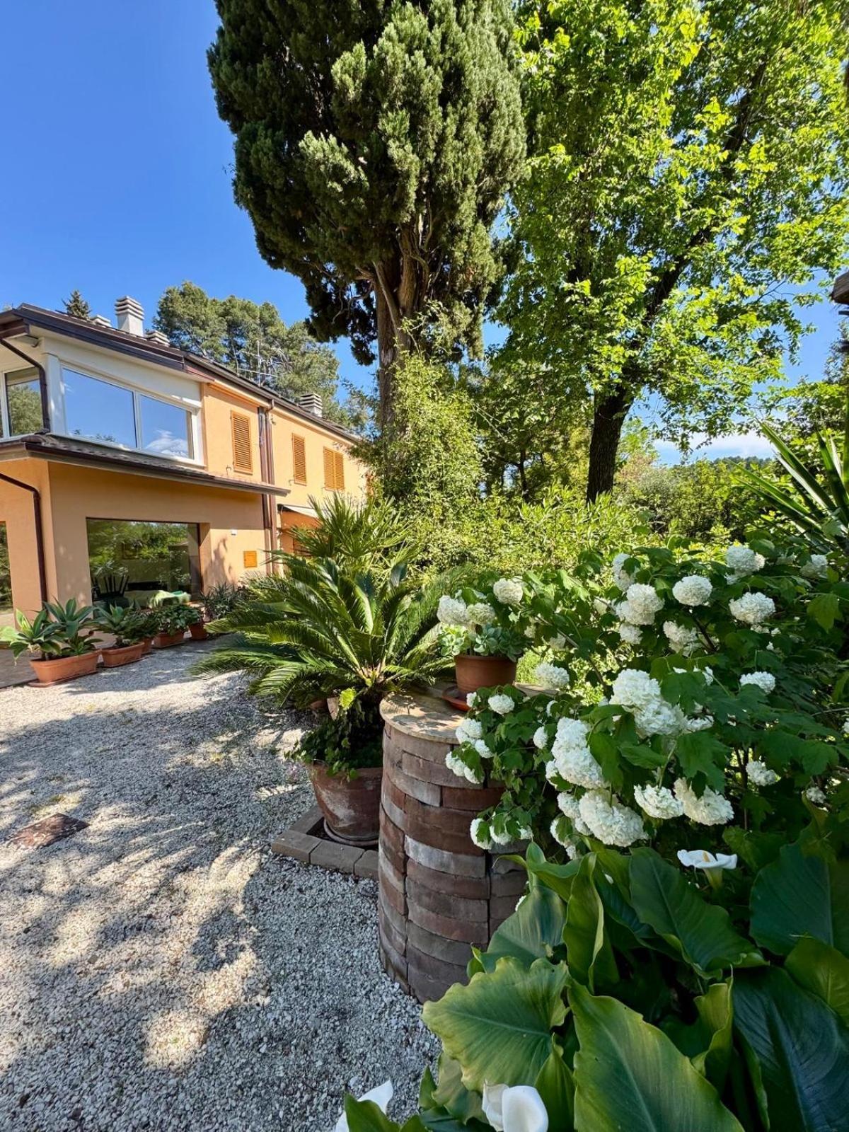 Il Podere Degli Ulivi Santa Veneranda Esterno foto
